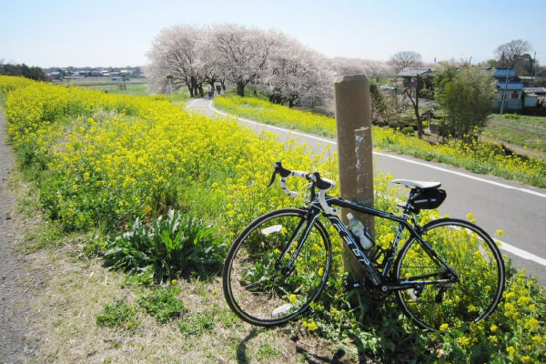 苗村 公嗣